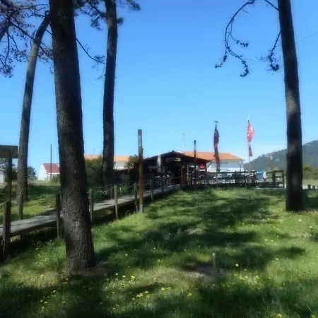 Holiday